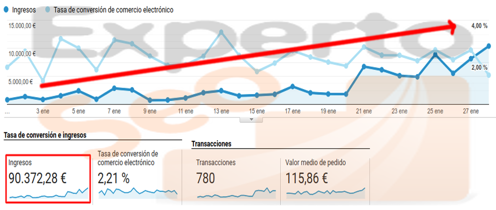 Casos de éxito de posicionamiento SEO en Google de una tienda online