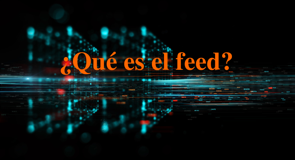  ¿Qué es el feed y como funciona?